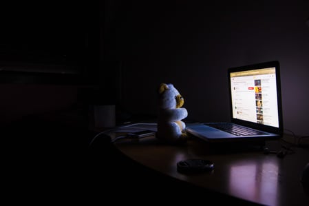 cyber criminal bear