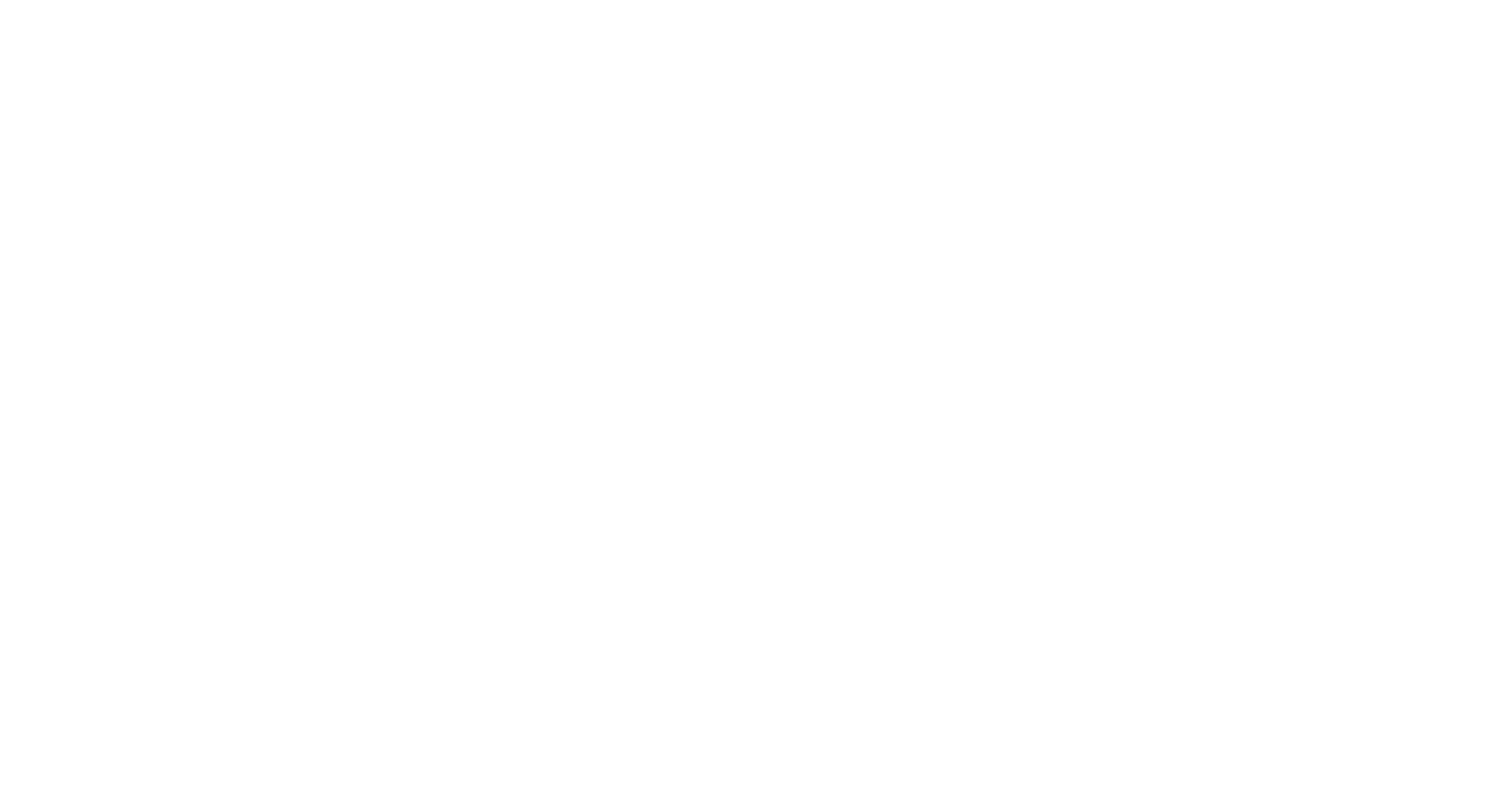 Pinpoint_Payments Logo 1P-White